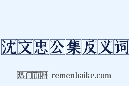 沈文忠公集反义词是什么意思的图片